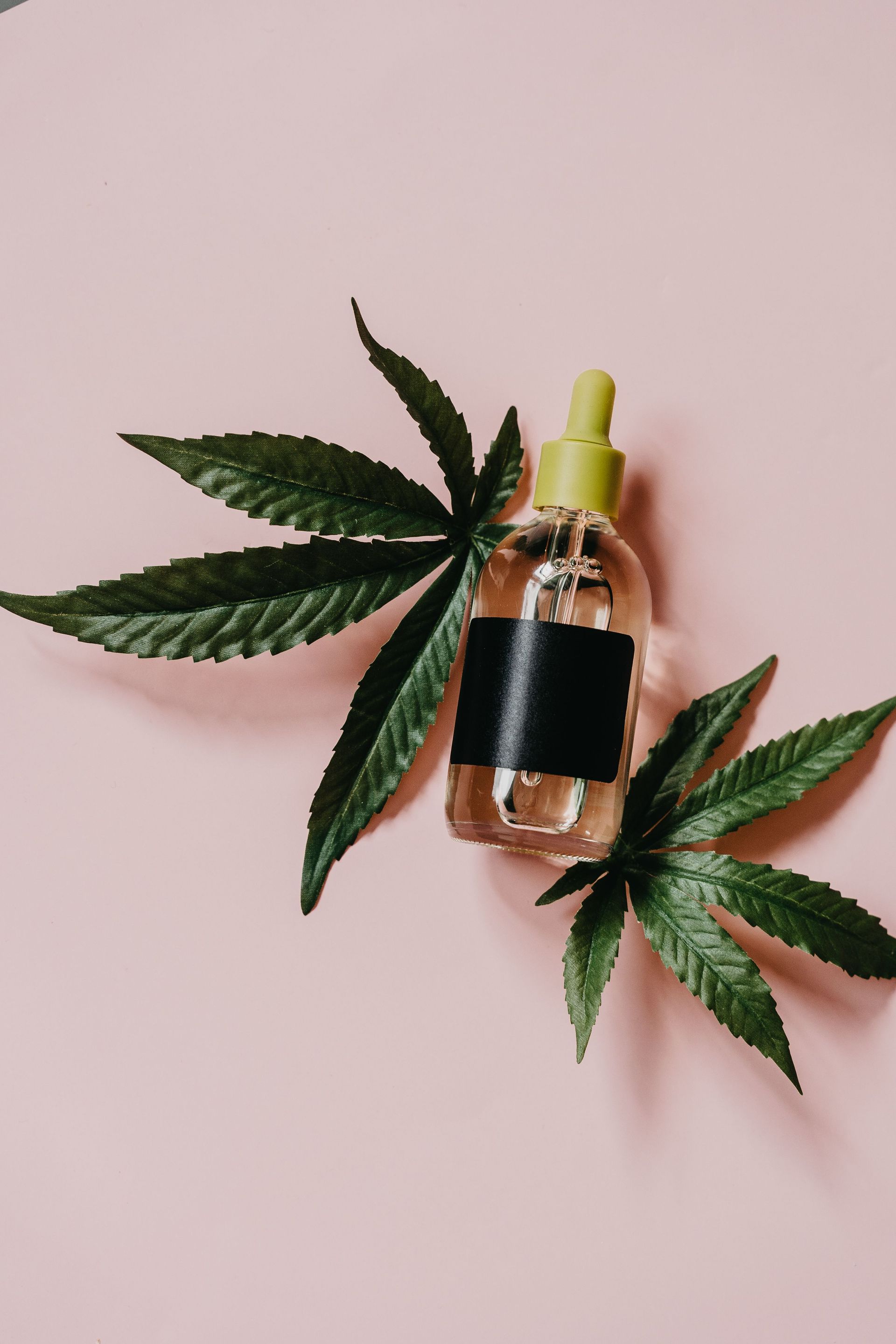 Glass dropper bottle with CBD oil surrounded by cannabis leaves on a pink surface.